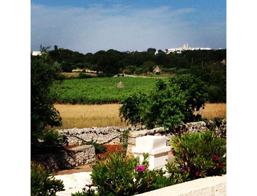 B&B Via dei Trulli Cisternino Camera foto